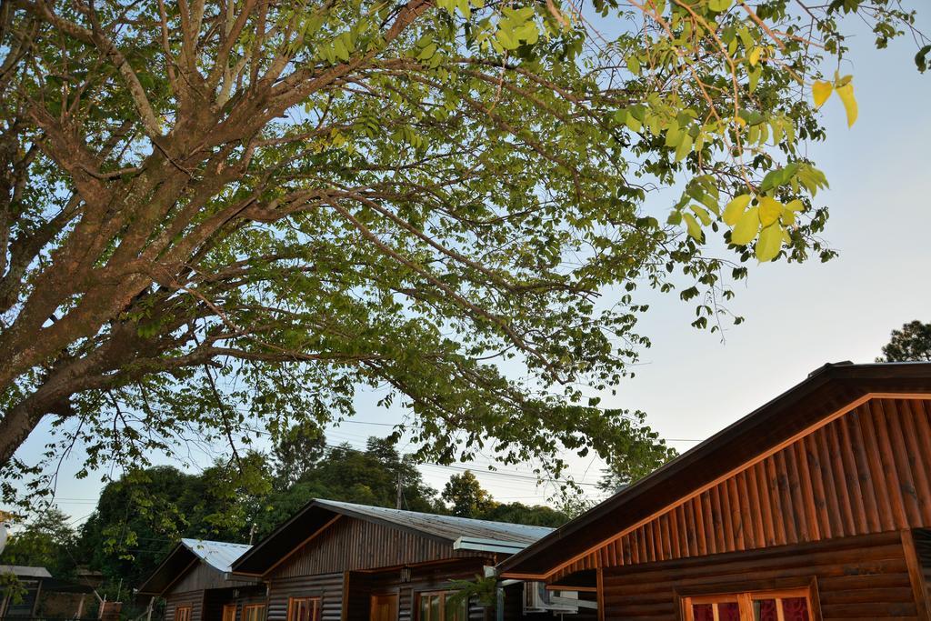 Casitas Nuova Villa Пуерто-Іґуасу Екстер'єр фото